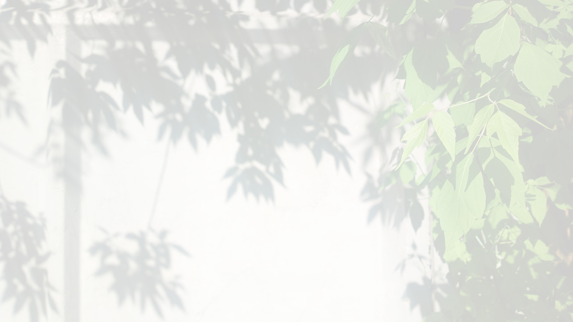 ギャラリー